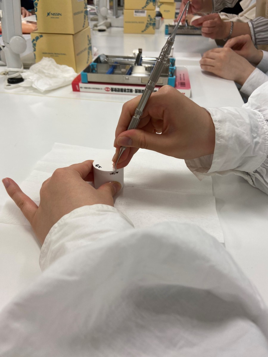 歯科衛生科1年生 シックルタイプスケーラー模型実習￼ - 専門学校仙台