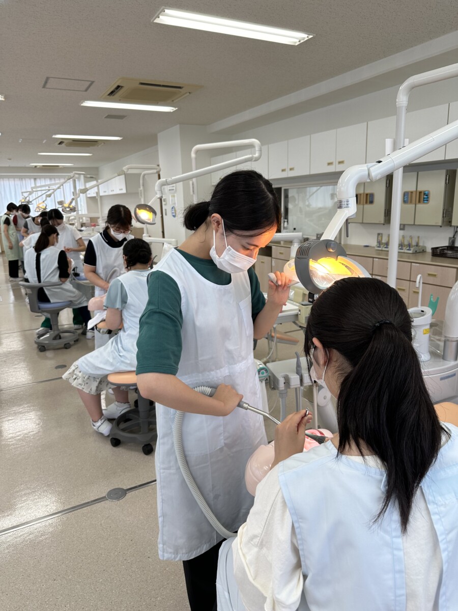 歯科衛生士学生 実習機材 一式 合計56905円→31000円 歯科衛生科1年生 バキューム模型実習 - 専門学校仙台総合医療大学校